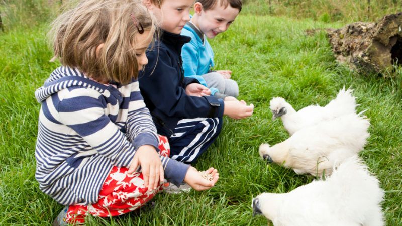 Untitled design (89)